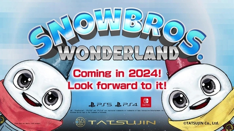 Snow Bros.系列成员封面 2