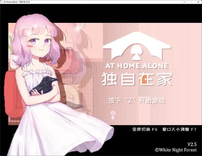 一个人在家时 At Home Alone