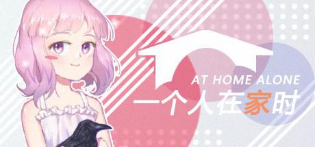 At Home Alone系列成员封面 3